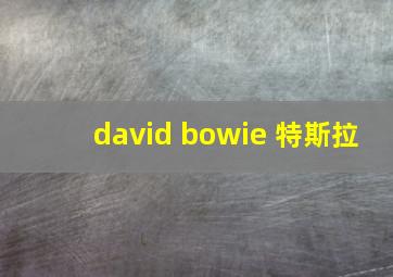 david bowie 特斯拉